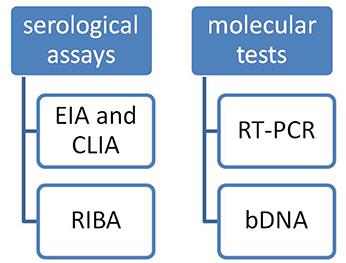 Does the Strategy of Risk Group Testing for Hepatitis C Hit the Target?